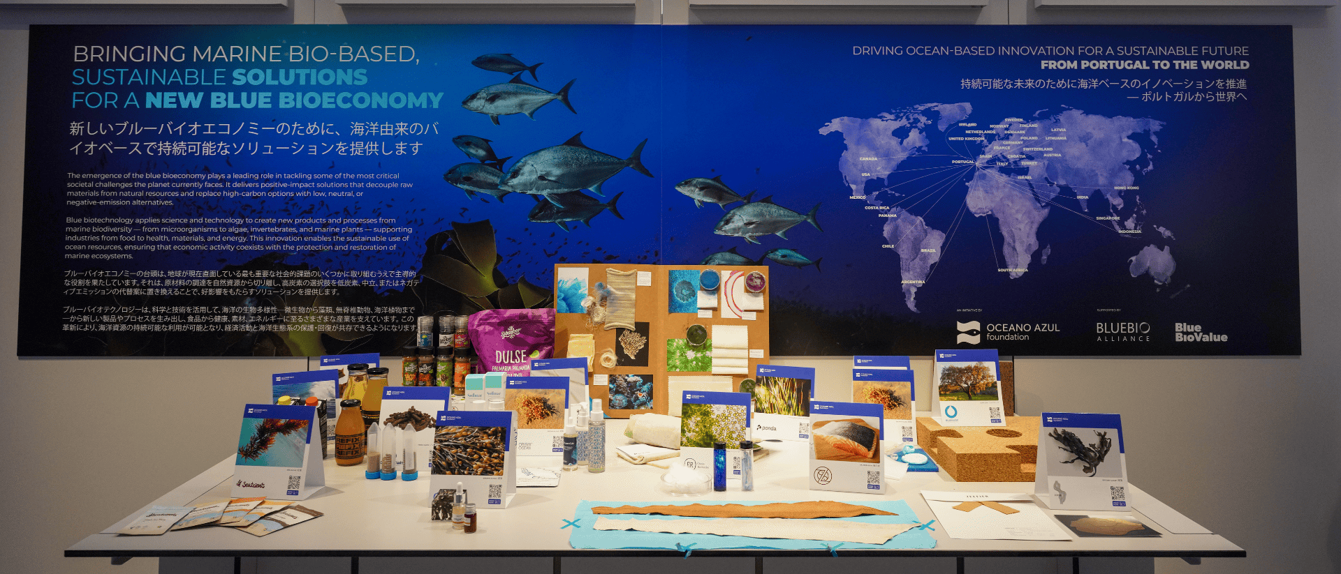 Ocean Conservation 