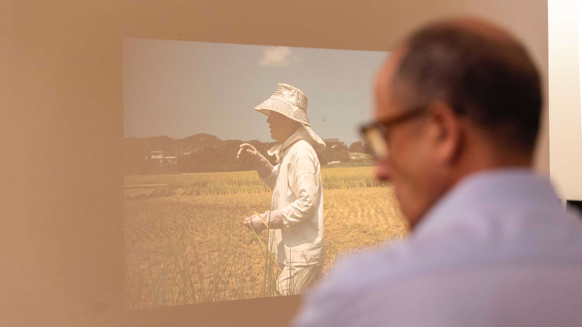 Universidade Nova exposição e ciclo de cinema