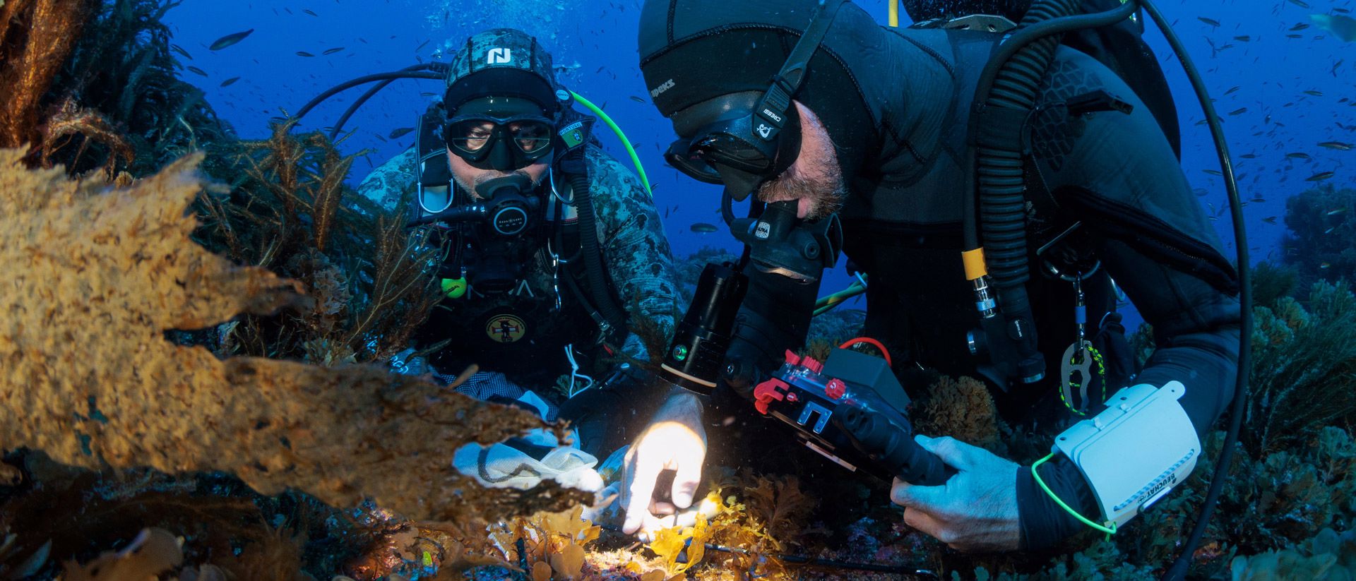 ‎ Oceano Azul Foundation